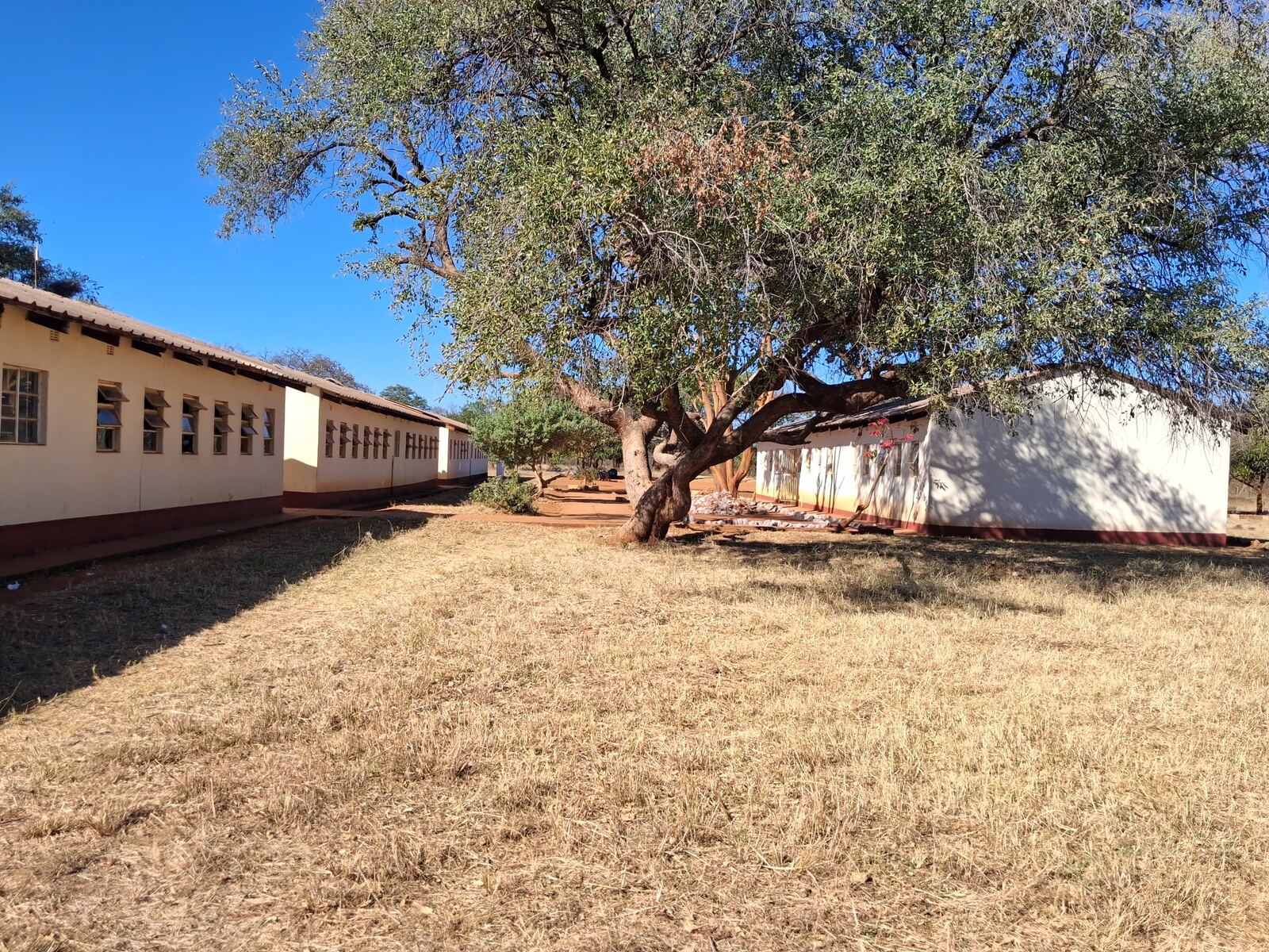 Siganda Secondary School classroom blocks under msasa trees