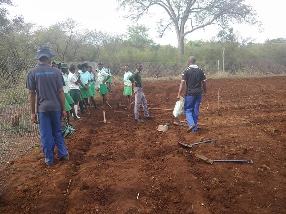 Learners preparing land at the school farm